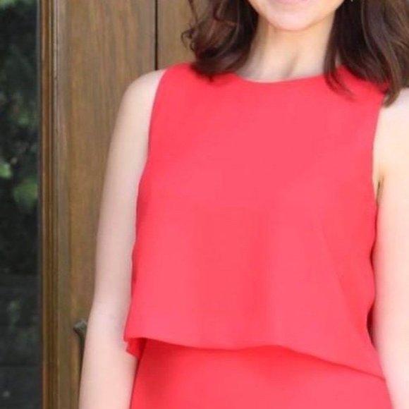 Banana Republic Dress with Overlay - Picture 5 of 5